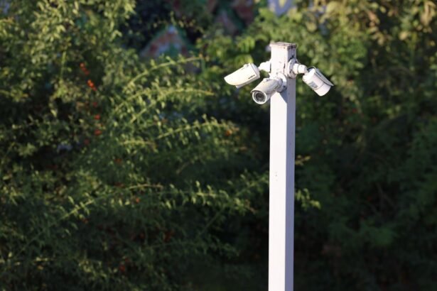 Cluster of surveillance cameras mounted outdoors amidst green foliage for public safety.