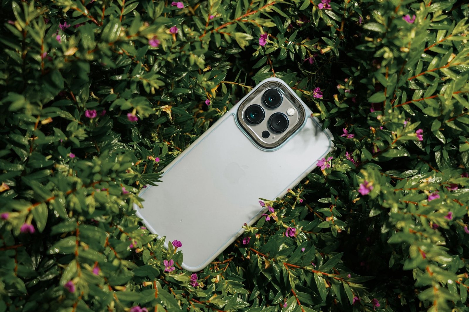 A smartphone surrounded by lush green leaves and small pink flowers, captured outdoors.