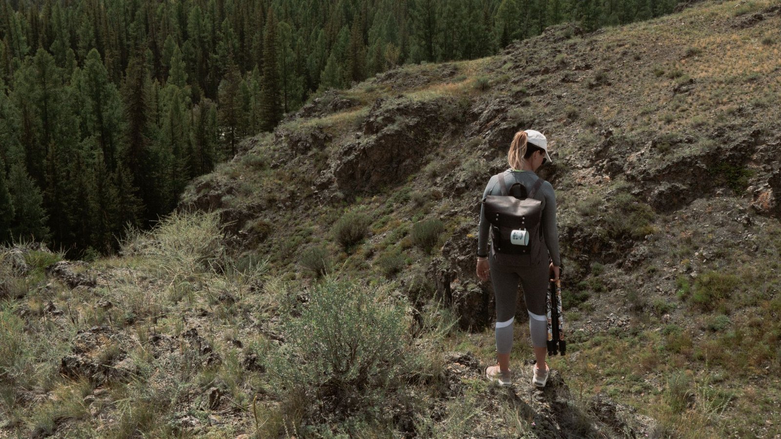A lone female hiker explores a scenic mountainous trail surrounded by lush pine forest.