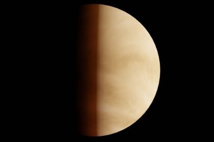 A striking image of Venus partially illuminated against a dark background, highlighting its atmospheric details.