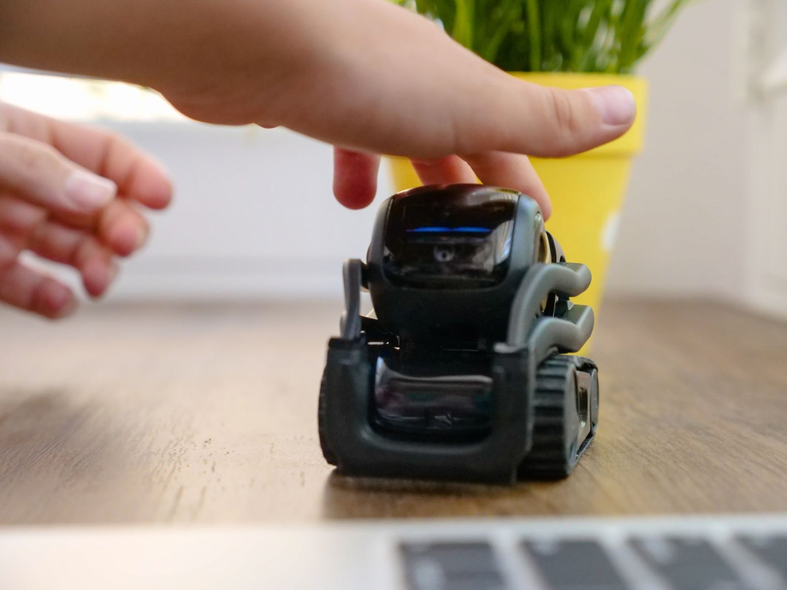Modern miniature robot being pet by a hand, showcasing technology interaction.