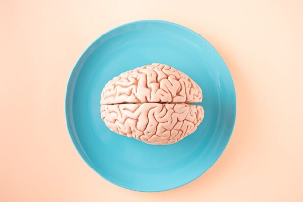 A human brain model placed on a blue plate, viewed from above against a pastel background.