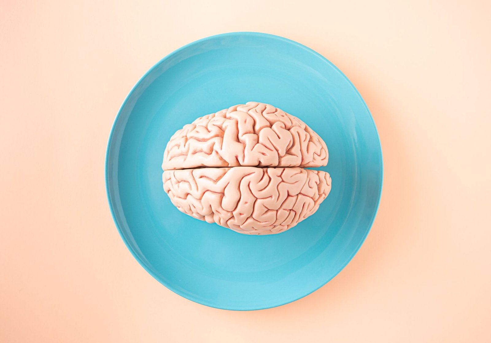 A human brain model placed on a blue plate, viewed from above against a pastel background.